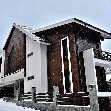 Casa Larisa - Wolves Apartment Sinaia Bagian luar foto