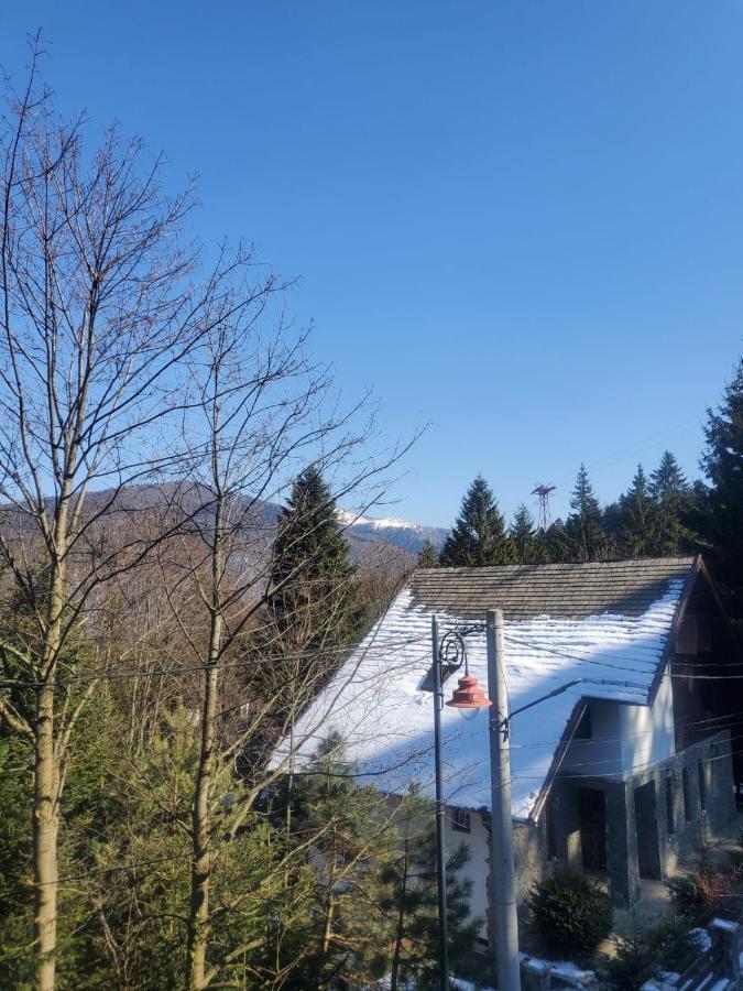 Casa Larisa - Wolves Apartment Sinaia Bagian luar foto