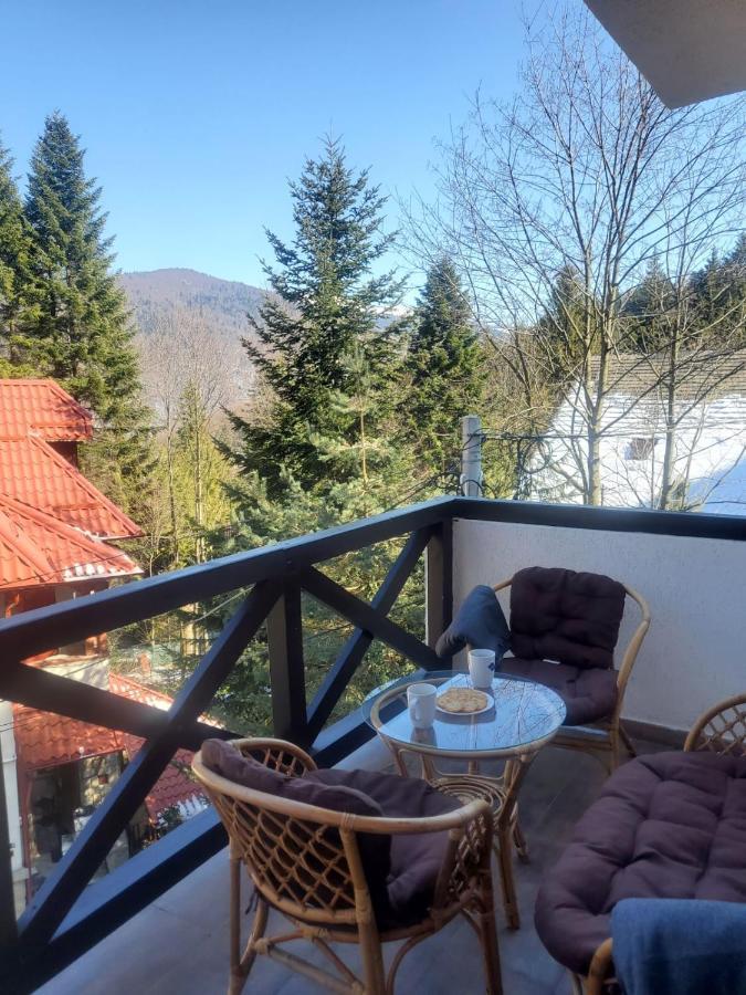 Casa Larisa - Wolves Apartment Sinaia Bagian luar foto