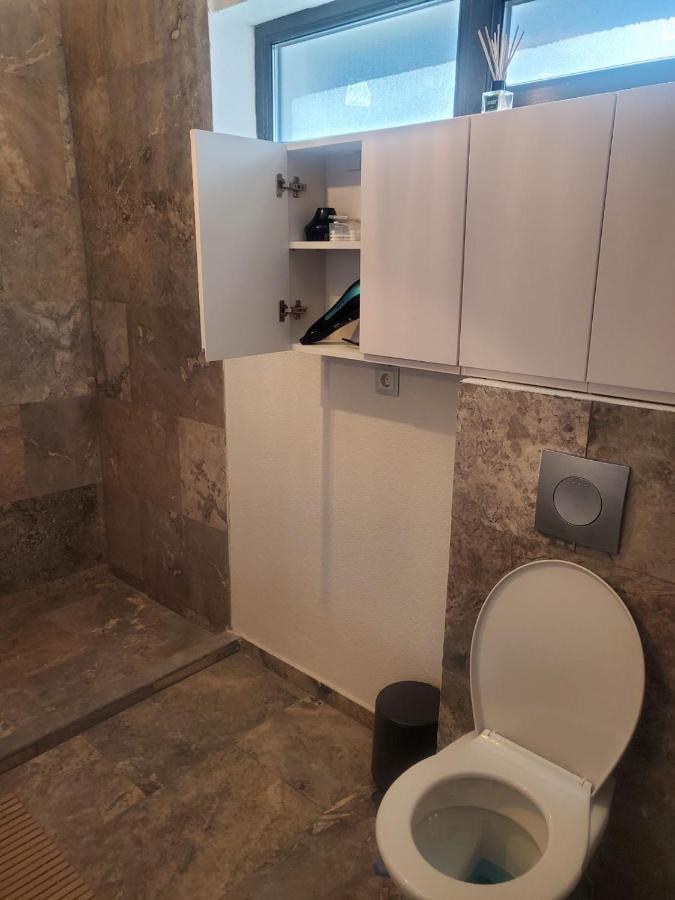 Casa Larisa - Wolves Apartment Sinaia Bagian luar foto