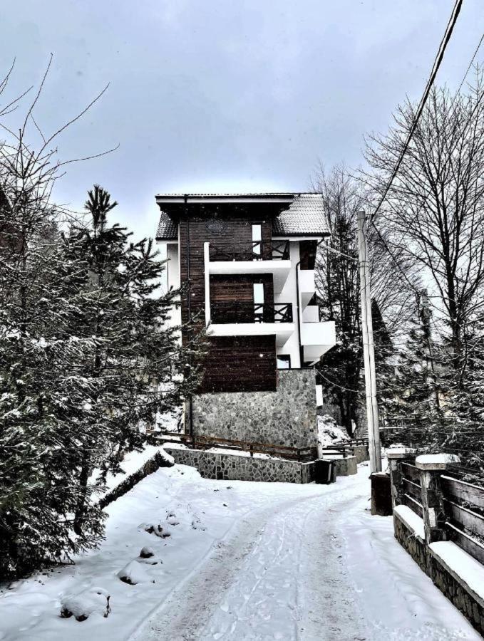 Casa Larisa - Wolves Apartment Sinaia Bagian luar foto