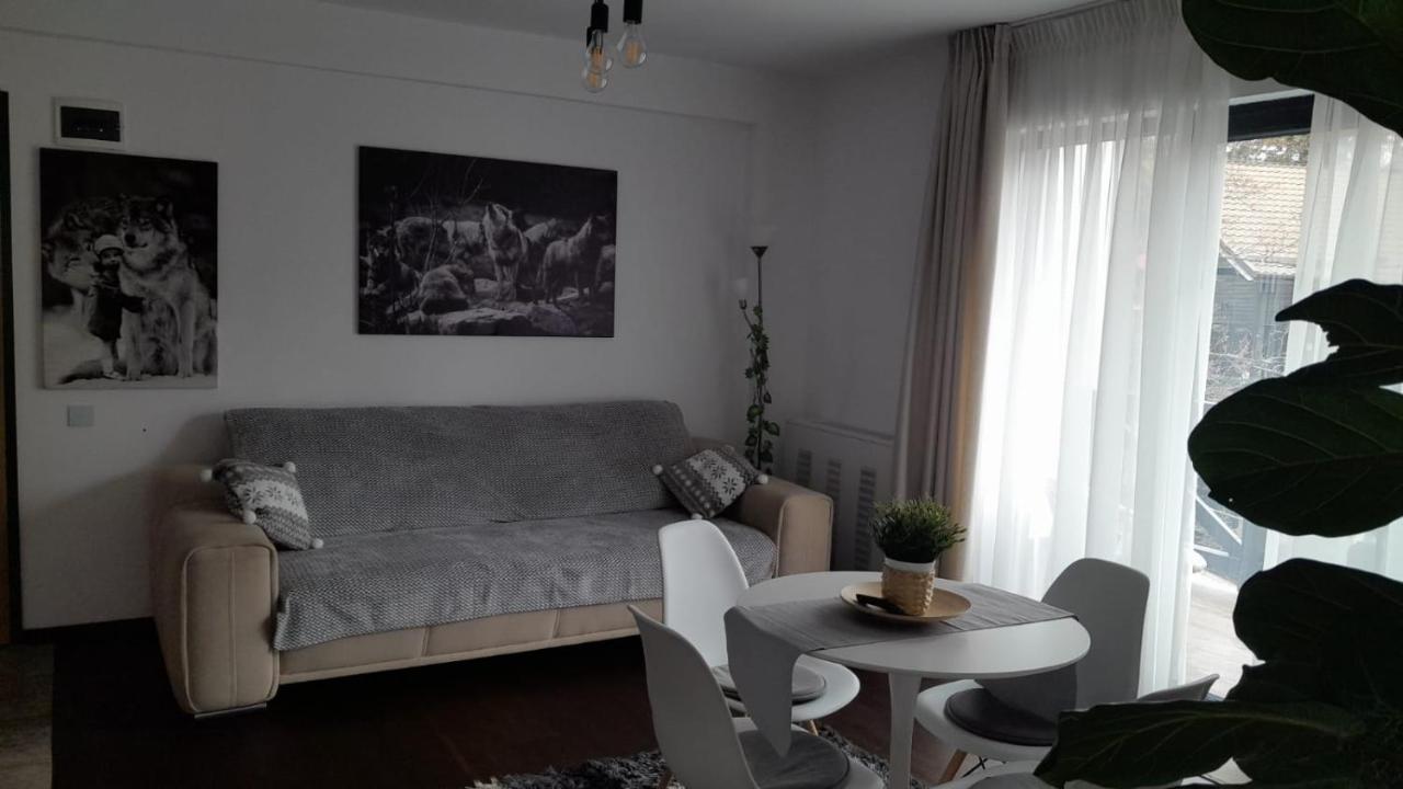 Casa Larisa - Wolves Apartment Sinaia Bagian luar foto